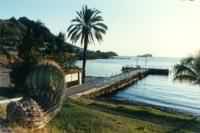 El muelle